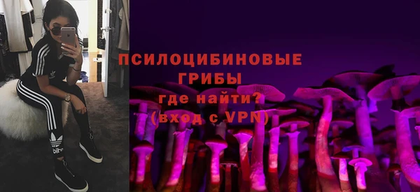 бутират Надым