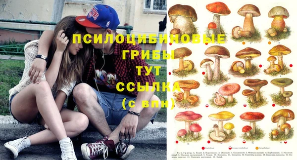 бутират Надым