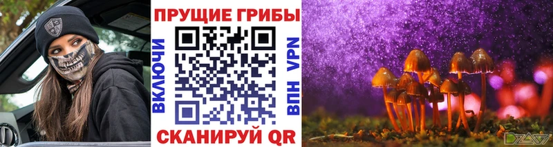 Галлюциногенные грибы прущие грибы  Пермь 