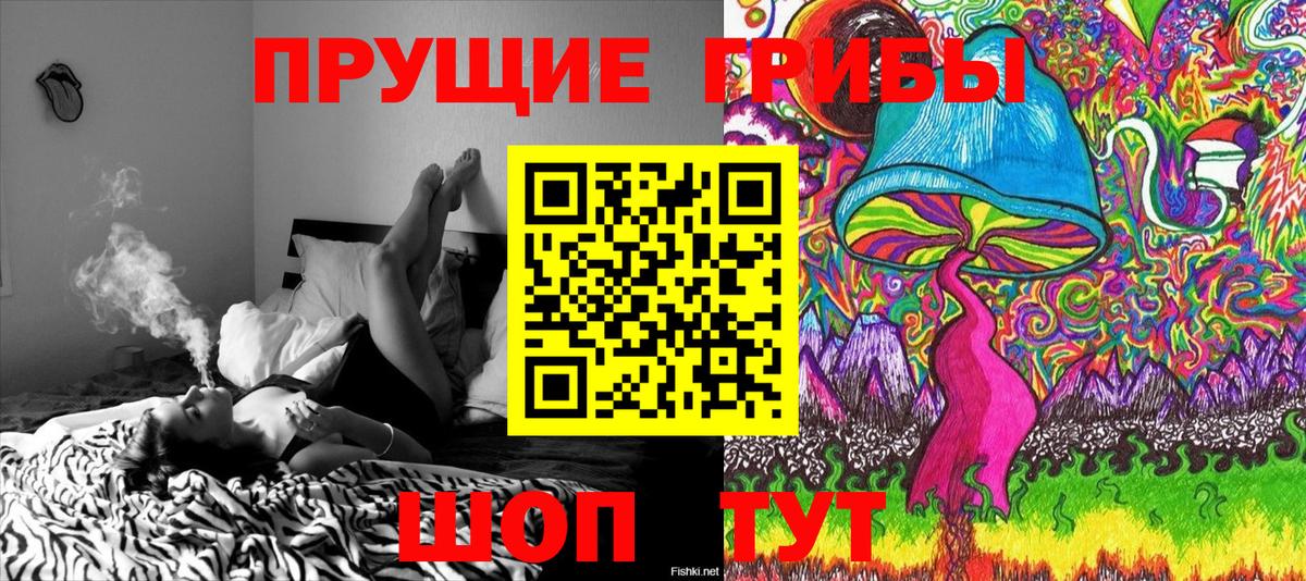Галлюциногенные грибы Psilocybine cubensis Пермь